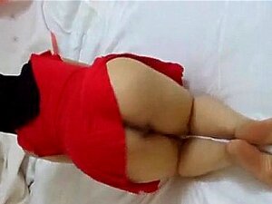 سكس حيوانات - Porno @ TeatroPorno.com